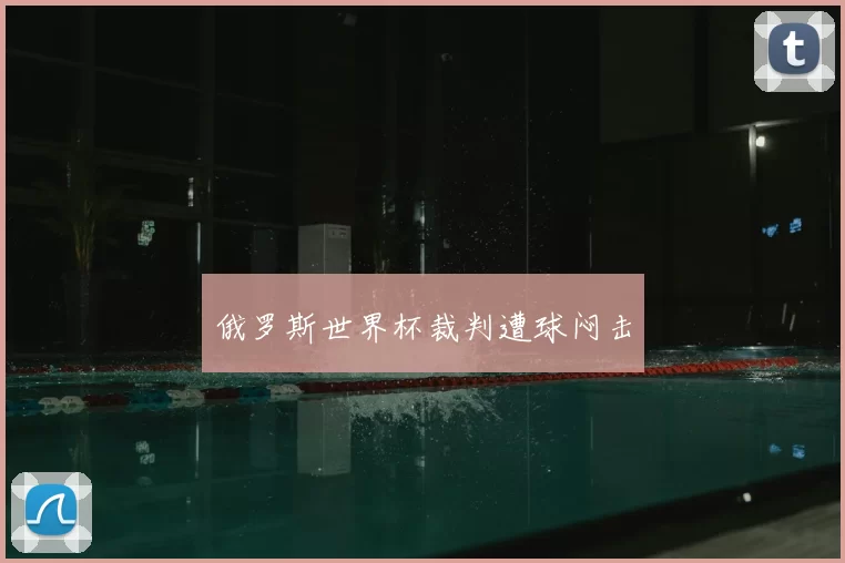 俄罗斯世界杯裁判遭球闷击