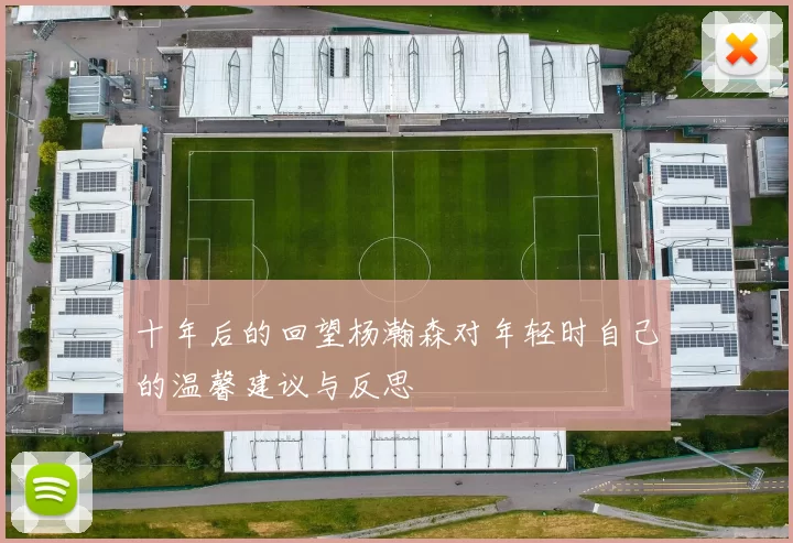 十年后的回望杨瀚森对年轻时自己的温馨建议与反思