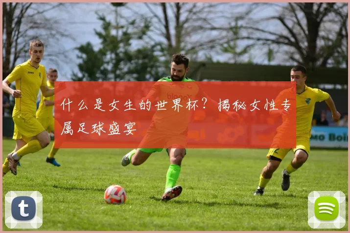什么是女生的世界杯?揭秘女性专属足球盛宴
