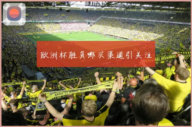 欧洲杯胜负哪买渠道引关注