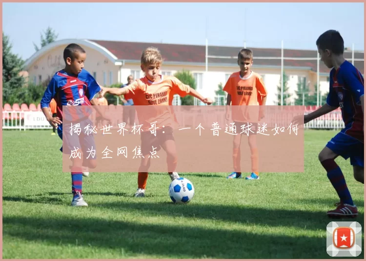 揭秘世界杯哥:一个普通球迷如何成为全网焦点