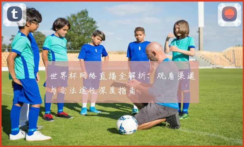 世界杯网络直播全解析:观看渠道与合法途径深度指南