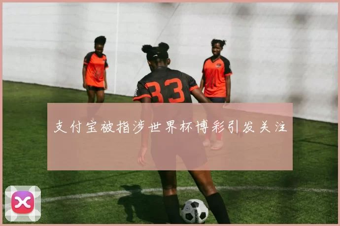 支付宝被指涉世界杯博彩引发关注