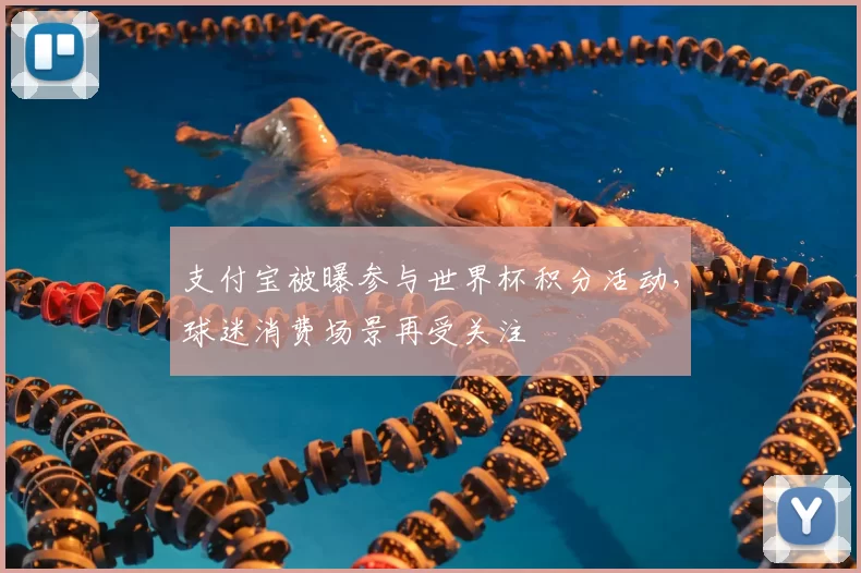 支付宝被曝参与世界杯积分活动，球迷消费场景再受关注