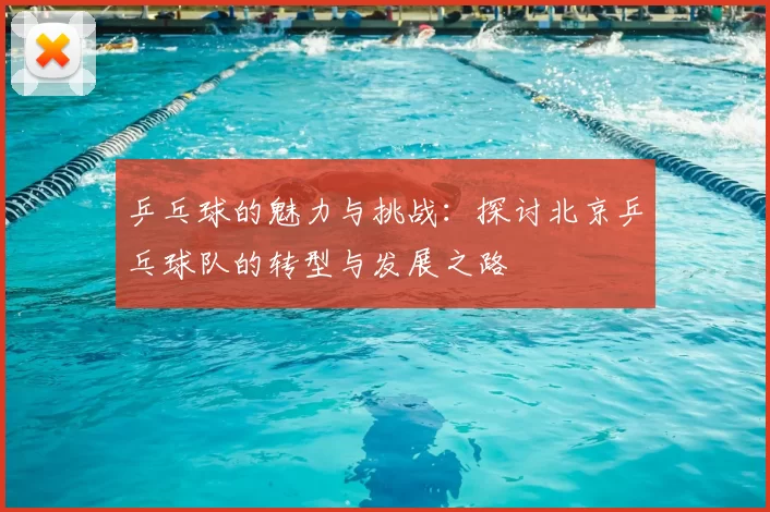 乒乓球的魅力与挑战：探讨北京乒乓球队的转型与发展之路