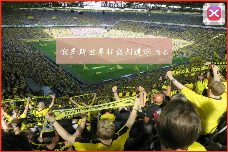 俄罗斯世界杯裁判遭球闷击